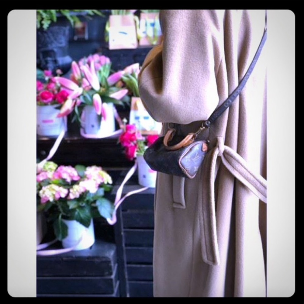 Louis Vuitton Brown Monogram SpeedyMini Sac HL